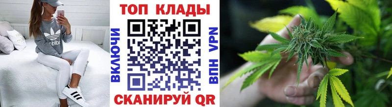 Каннабис Новая Ладога
