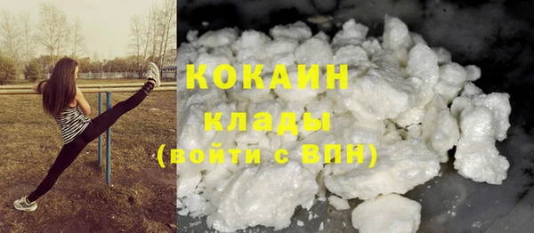 гашик Аркадак