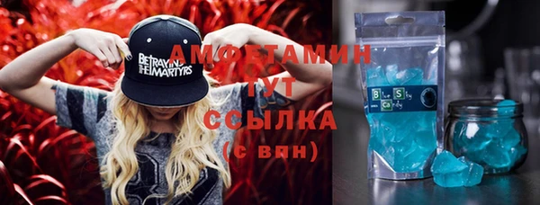 гашик Аркадак